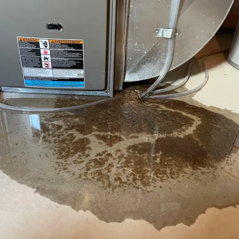 Appliance Leak Cleanup in Northampton, MA