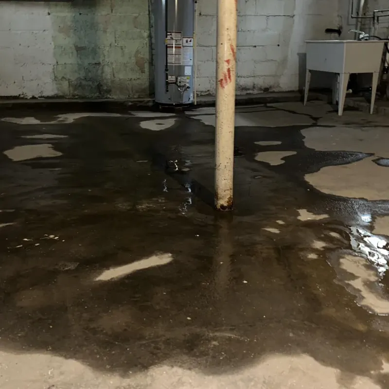 Emergency Water Extraction And Removal in Northampton, MA